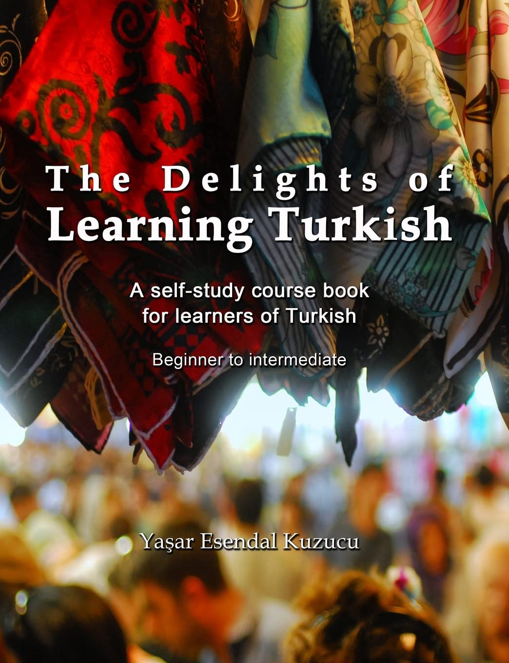 The Delights of Learning Turkish: A selfstudy course book for learners of Turkish,New