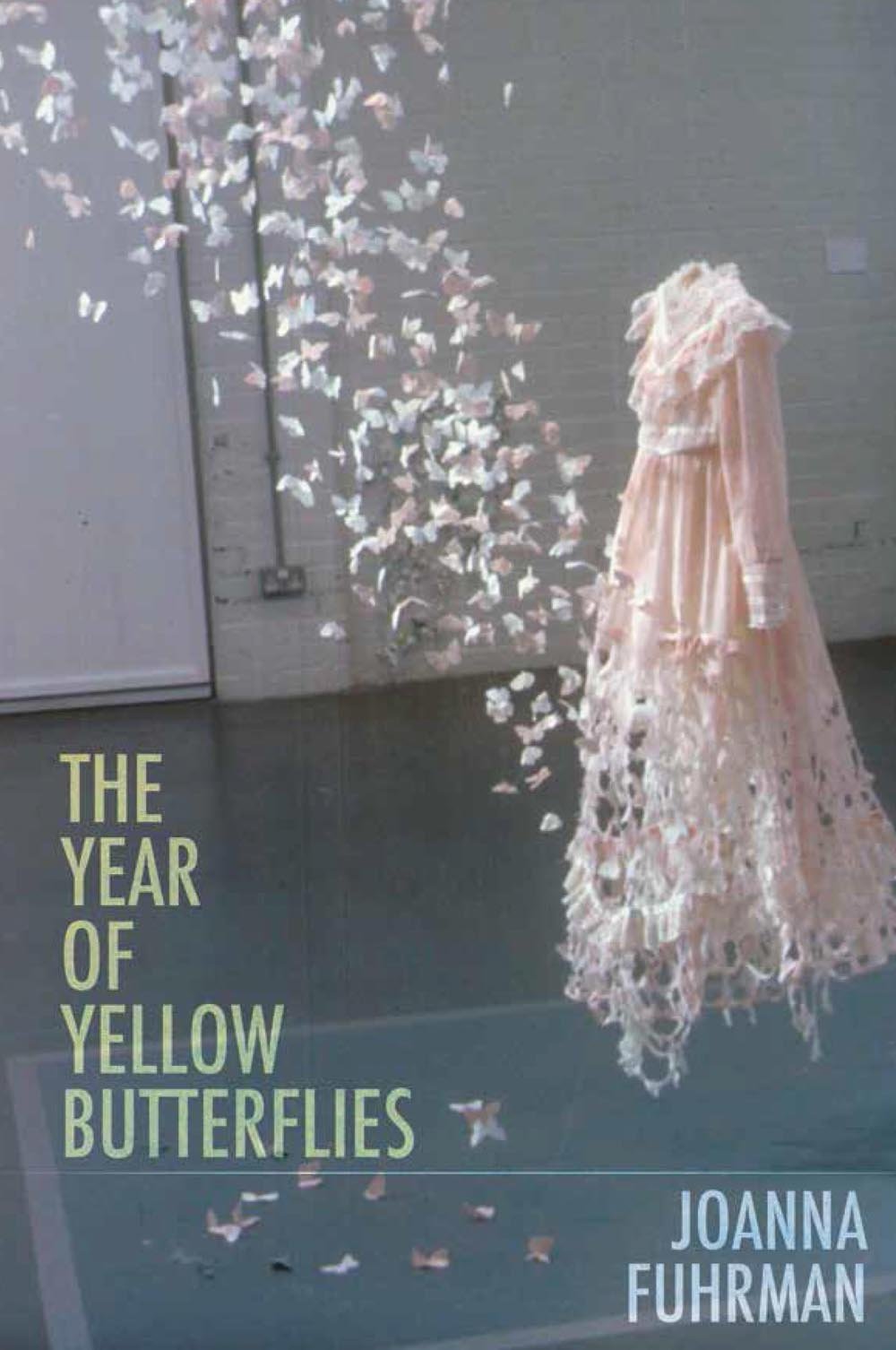 The Year of Yellow Butterflies,Used