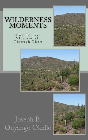 Wilderness Moments: How To Live Victoriously Through Them,Used