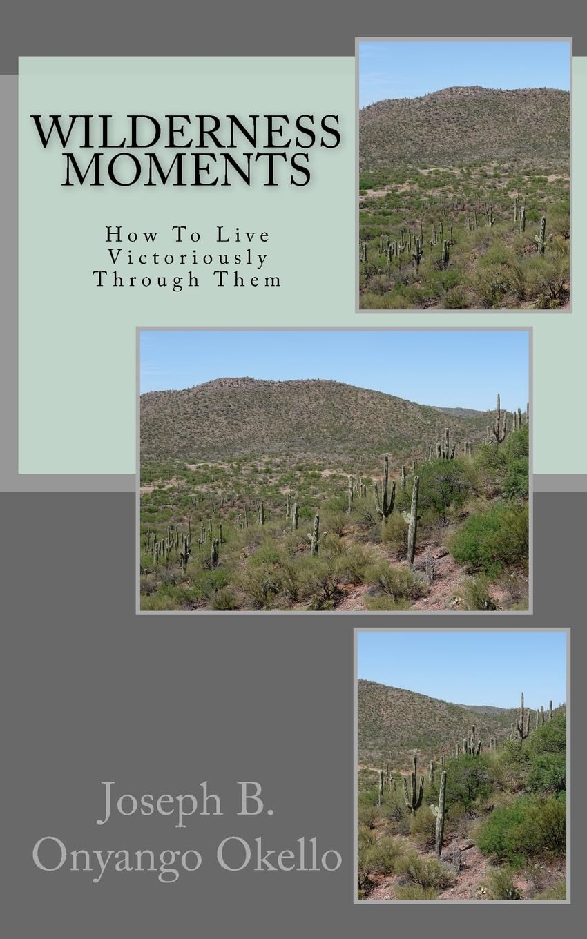 Wilderness Moments: How To Live Victoriously Through Them,Used