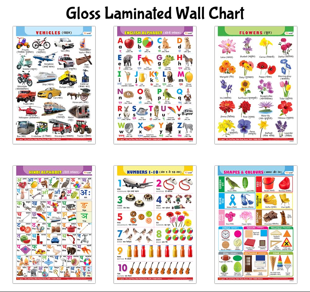 Alphabet, Numbers, Hindi Varnmala, Shapes & Colours, Flowers And Vehicles Gloss Laminated Charts :- Early Learning Charts For Kids, Learning Charts For Children | Combo Of 6 English-Hindi Charts