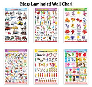 Alphabet, Numbers, Hindi Varnmala, Shapes & Colours, Flowers And Vehicles Gloss Laminated Charts :- Early Learning Charts For Kids, Learning Charts For Children | Combo Of 6 English-Hindi Charts