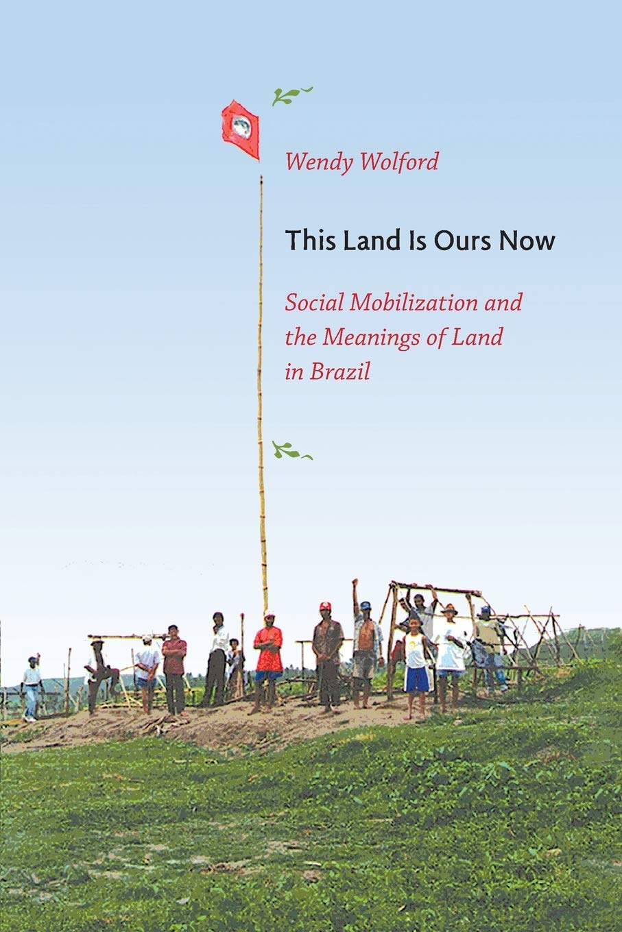 This Land Is Ours Now: Social Mobilization and the Meanings of Land in Brazil,New