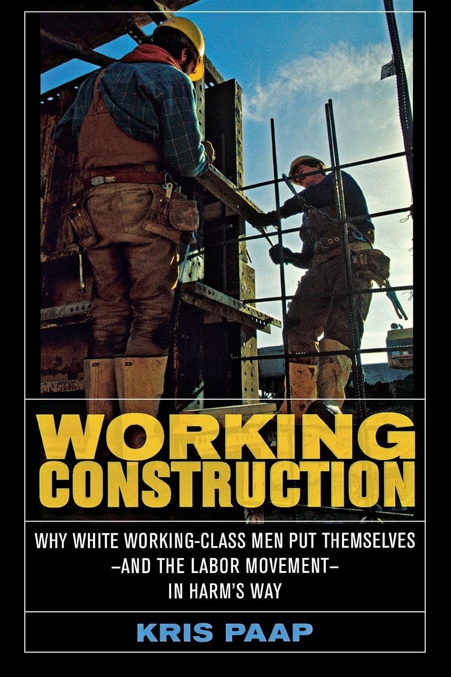 Working Construction: Why White WorkingClass Men Put Themselvesand the Labor Movementin Harm's Way,Used