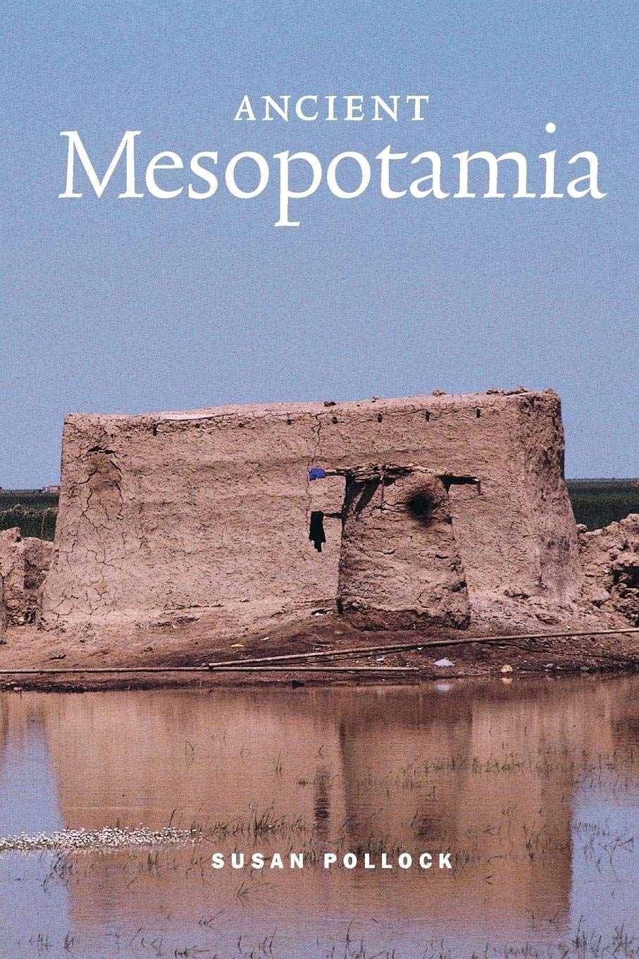 Ancient Mesopotamia (Case Studies in Early Societies, Series Number 1),Used