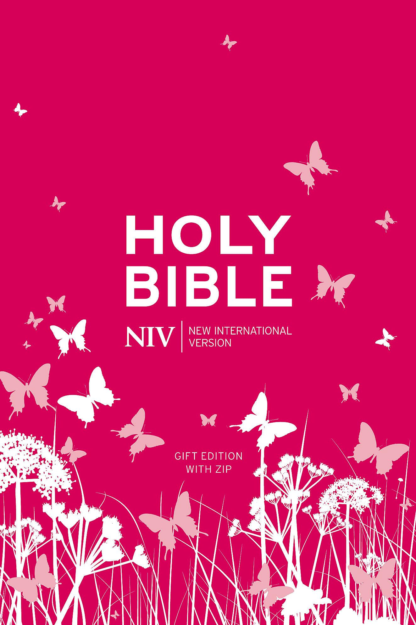 The Holy Bible: New International Version.