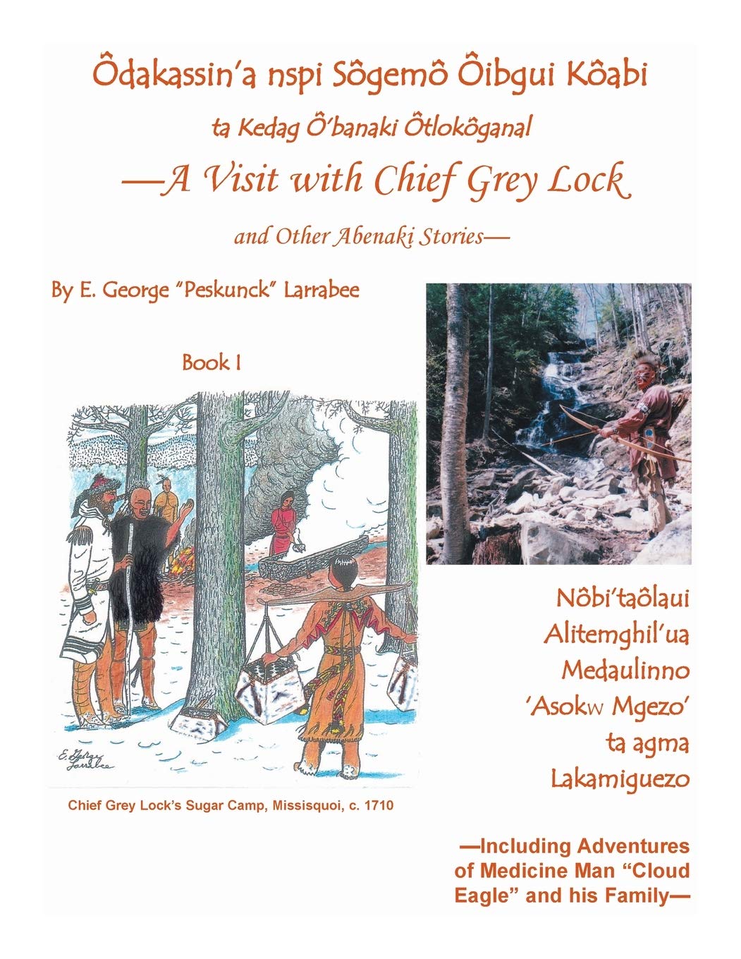 A Visit with Chief Grey Lock and Other Abenaki Stories, Book 1,Used