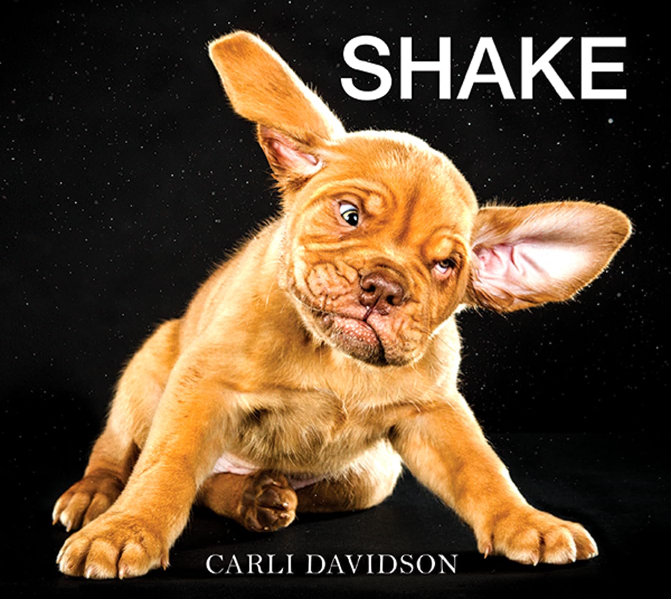 Shake,New