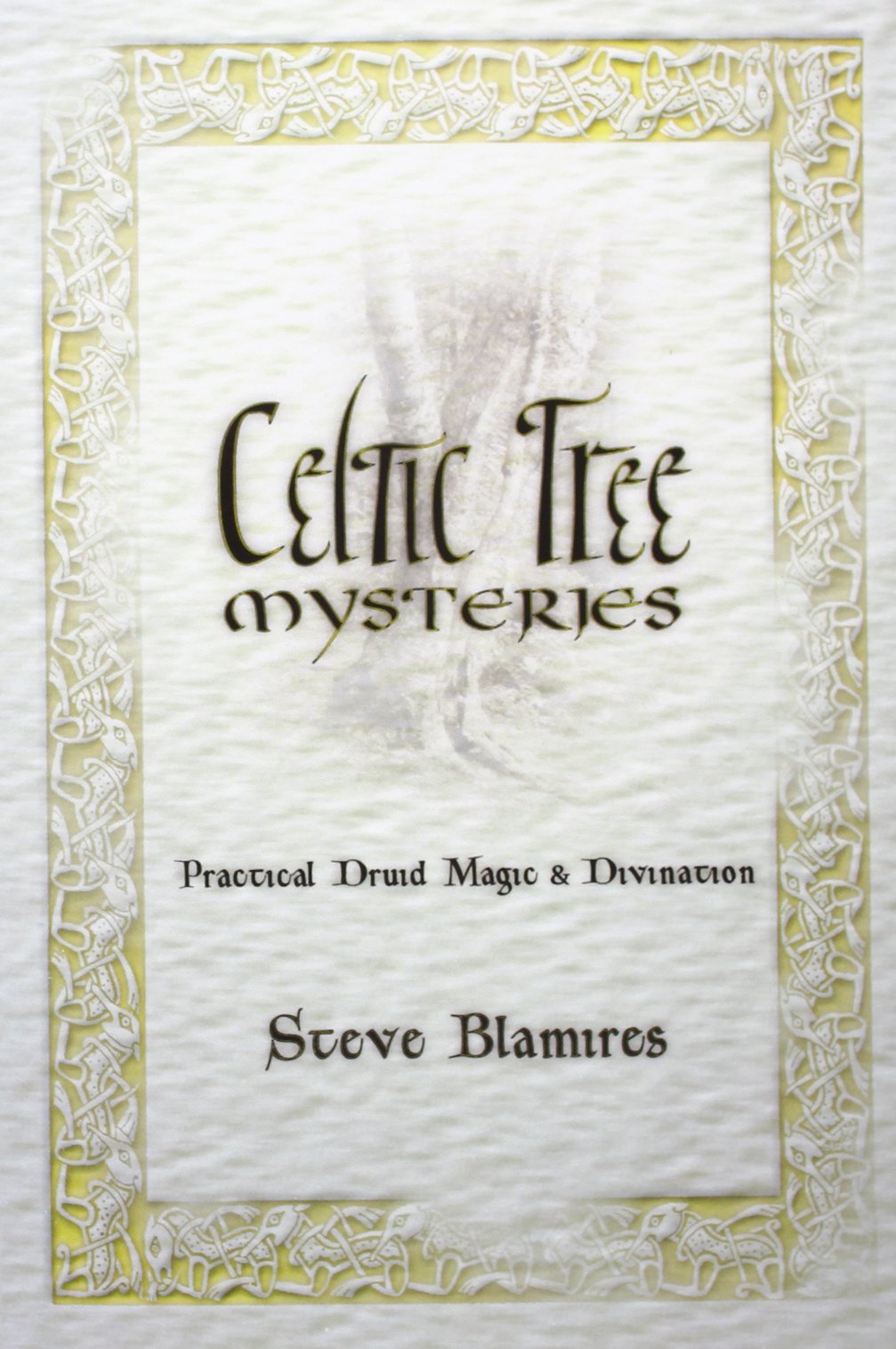 Celtic Tree Mysteries: Practical Druid Magic & Divination,Used