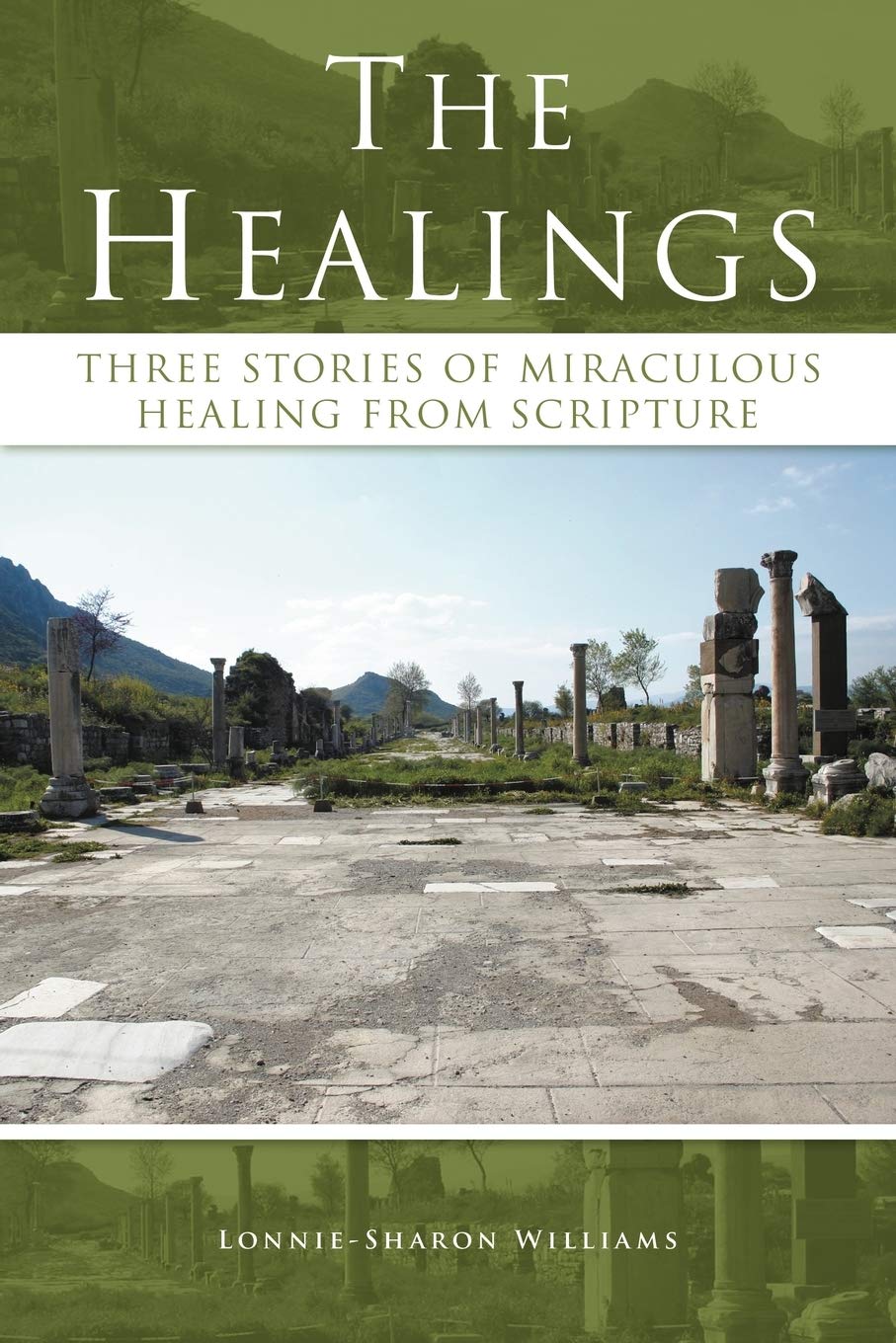 The Healings: Three Stories Of Miraculous Healing From Scripture,Used