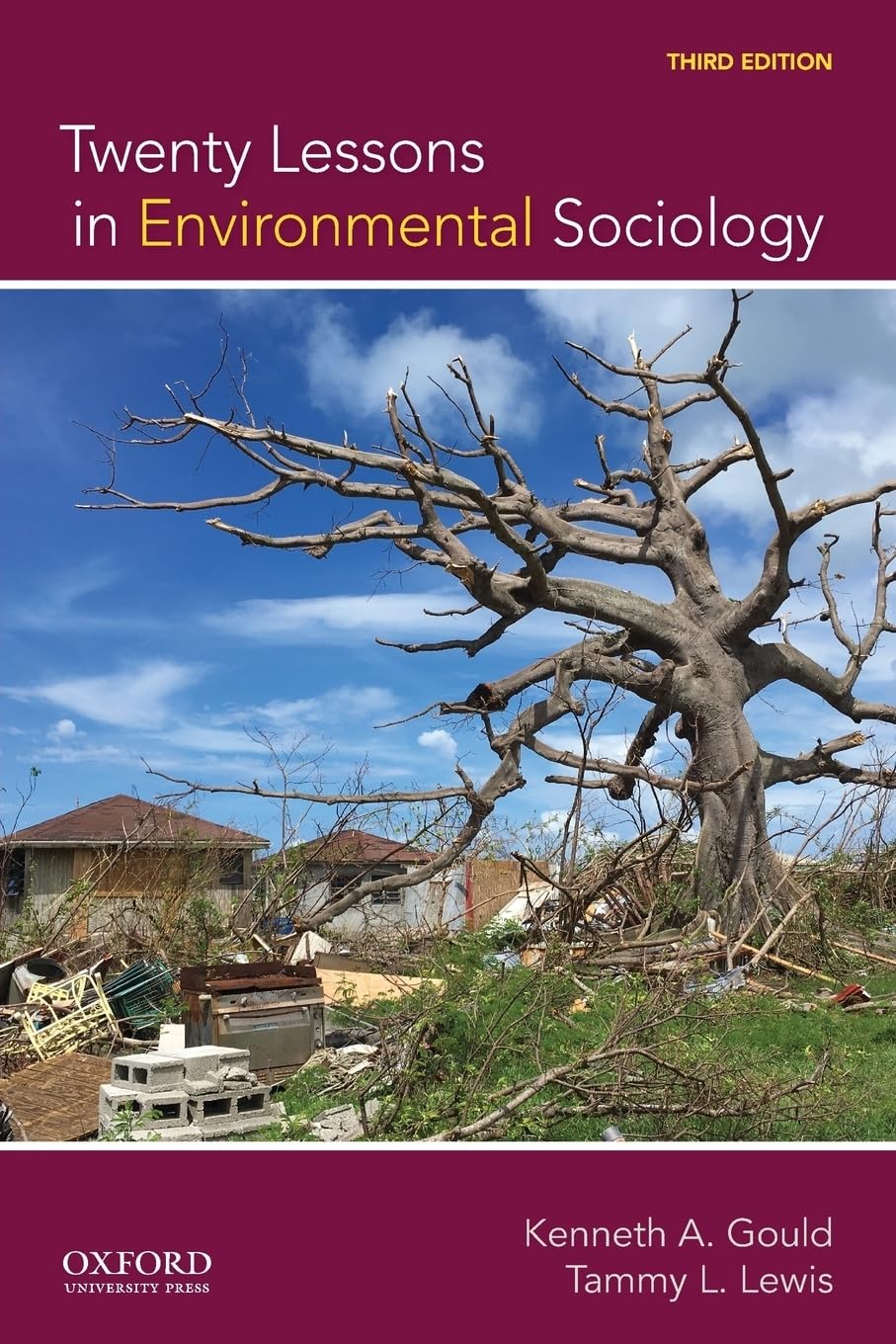 Twenty Lessons in Environmental Sociology,Used