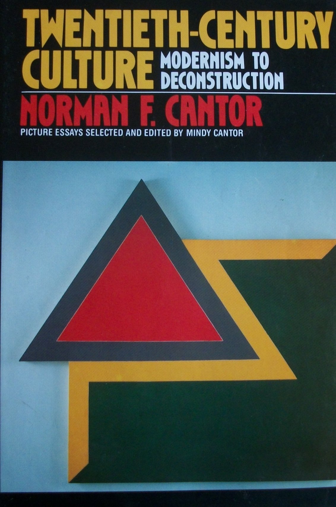 TwentiethCentury Culture: Modernism to Deconstruction,Used