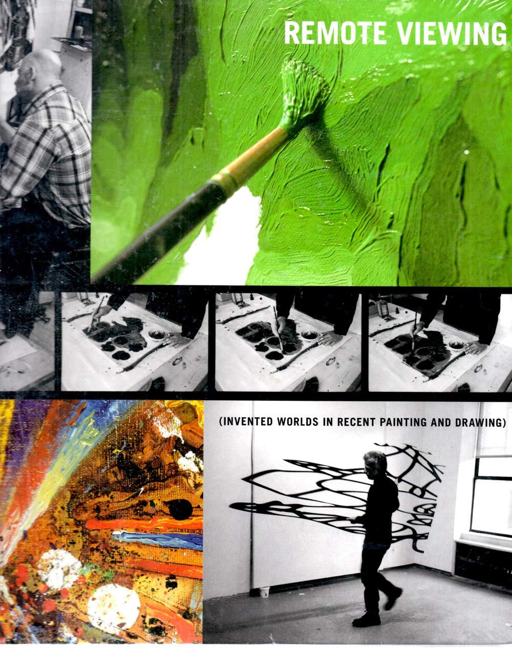 Remote Viewing: Invented Worlds in Recent Painting and Drawing,Used