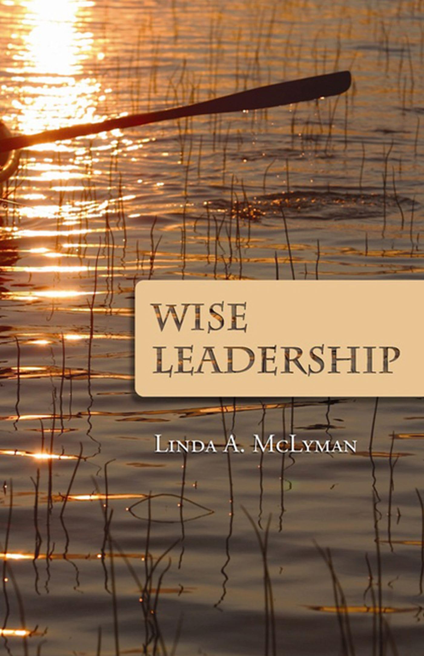 Wise Leadership,Used