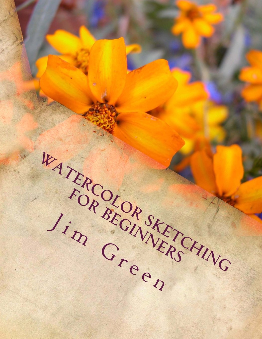 Watercolor Sketching For Beginners,Used