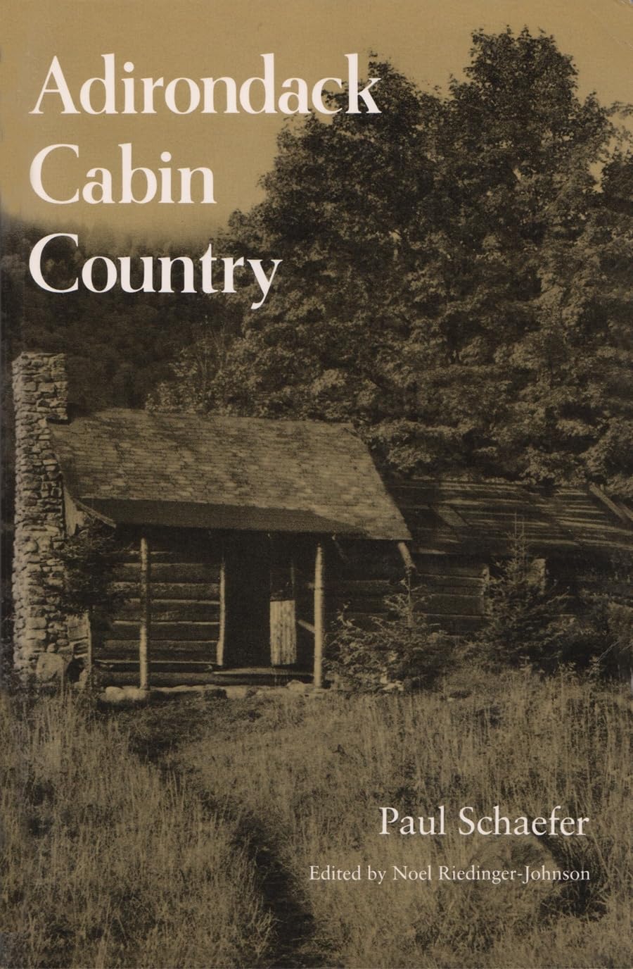 Adirondack Cabin Country (New York State Series),New