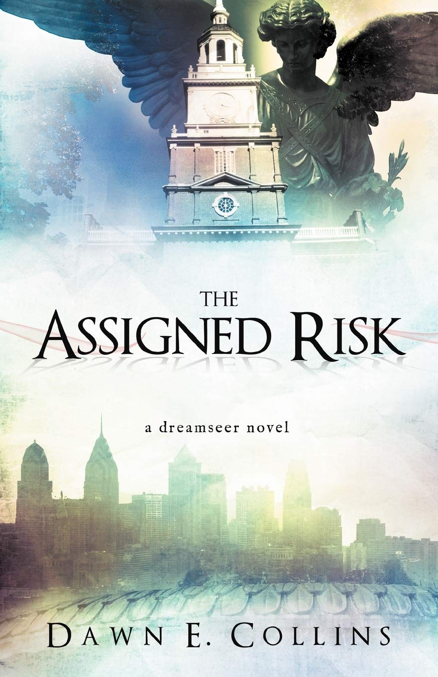 The Assigned Risk: A Dreamseer Novel,Used