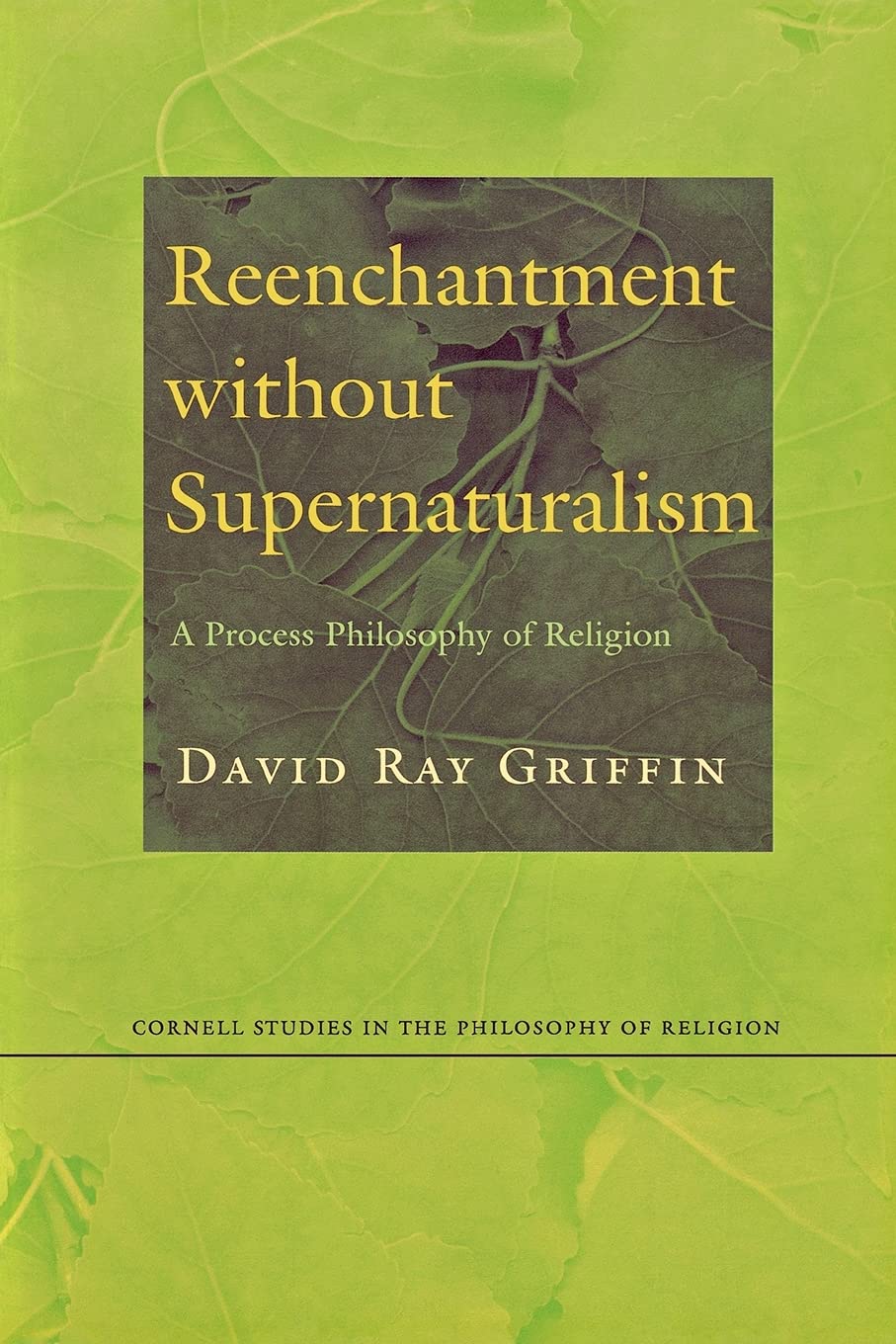 Reenchantment without Supernaturalism: A Process Philosophy of Religion (Cornell Studies in the Philosophy of Religion),Used