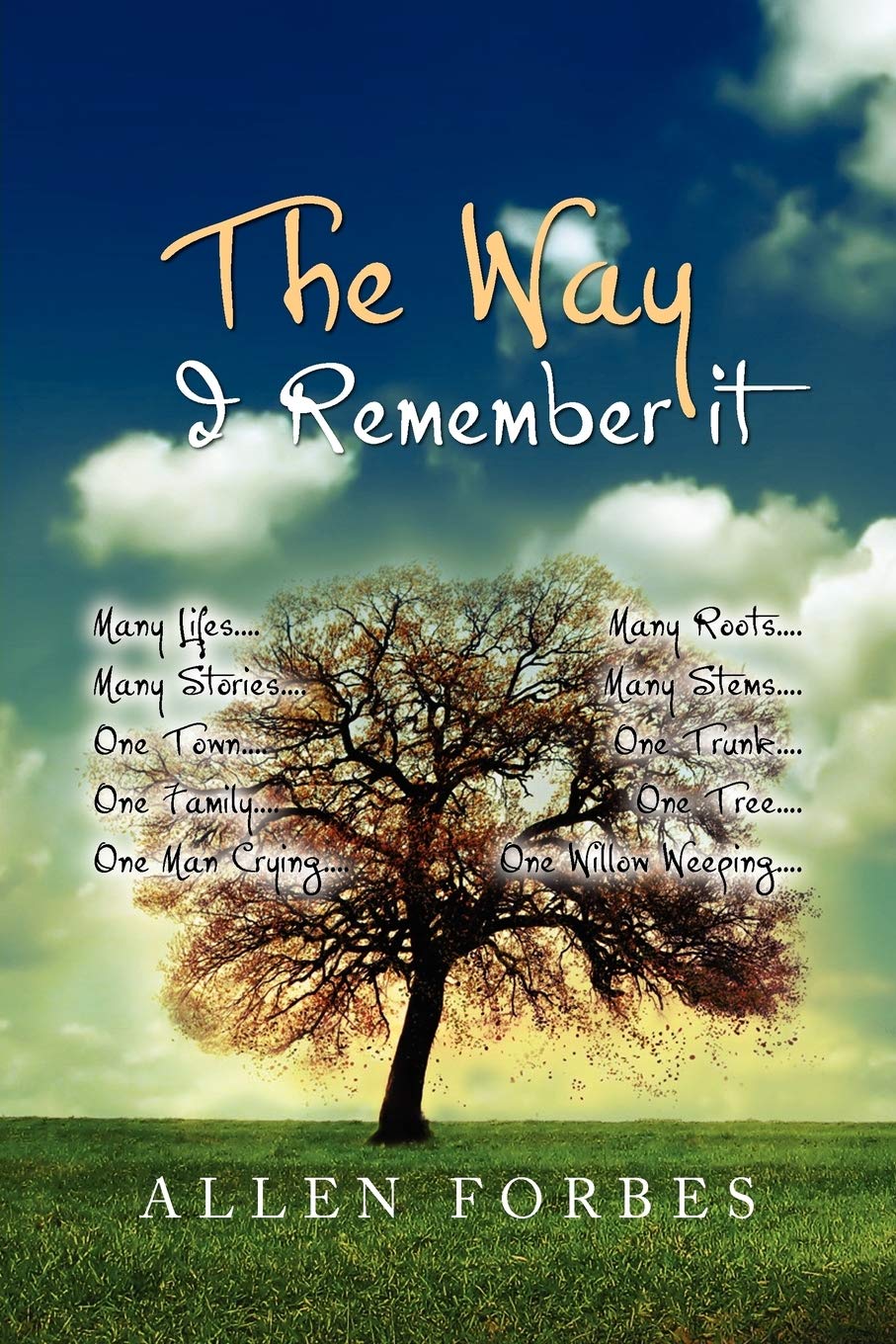 The Way I Remembed It,Used