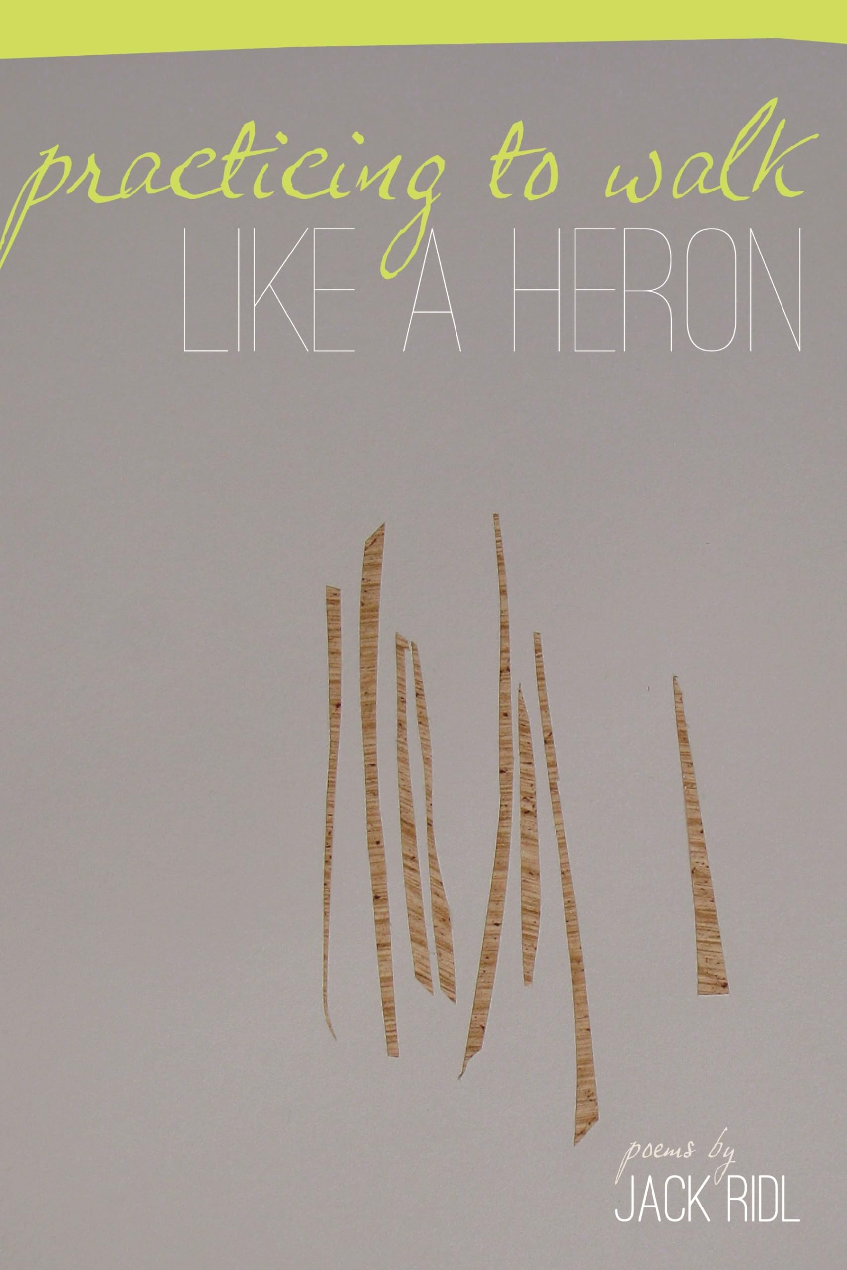 Practicing To Walk Like A Heron (Made In Michigan Writer Series),Used