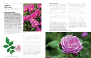 Essential Aromatherapy Garden: Growing and Using Scented Plants and Herbs,Used