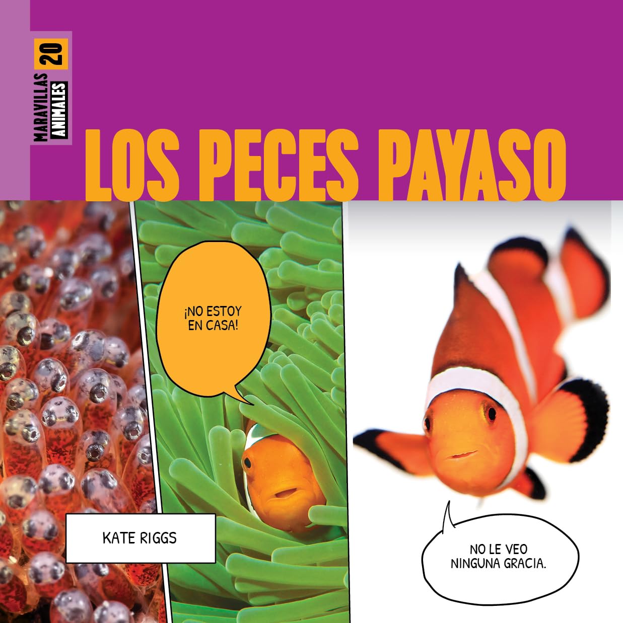 LOS PECES PAYASO