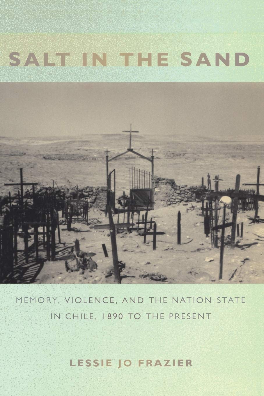 Salt In The Sand: Memory, Violence, And The Nationstate In Chile, 1890 To The Present (Politics, History, And Culture)