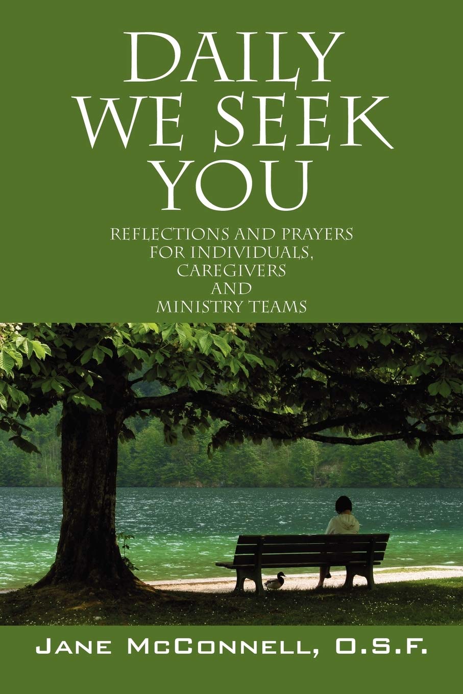 Daily We Seek You: Reflections and Prayers for Individuals, Caregivers and Ministry Teams,Used