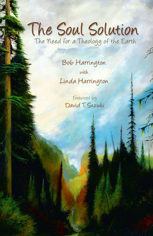 Soul Solution: The Need for a Theology of the Earth,Used