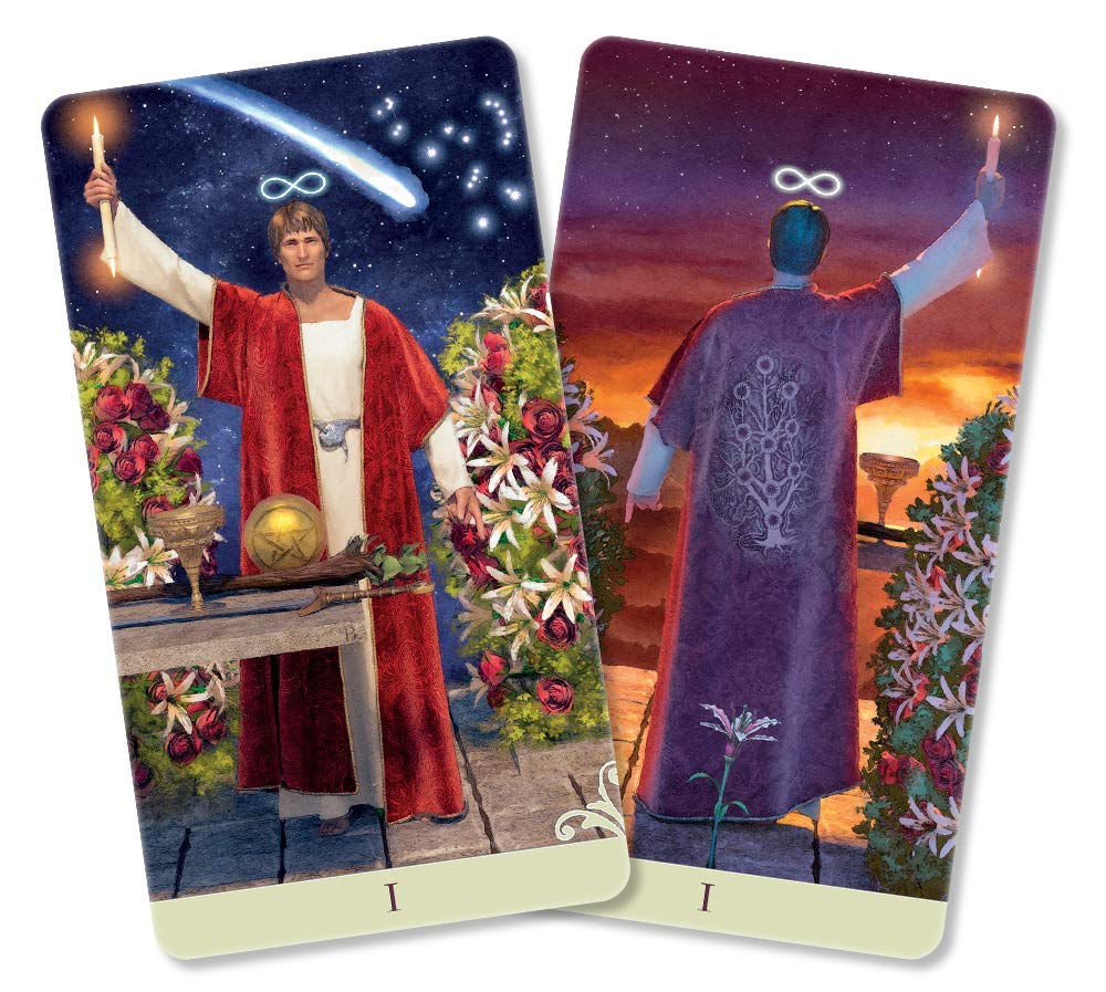 Vice Versa Tarot Kit (Vice Versa Tarot, 1),New