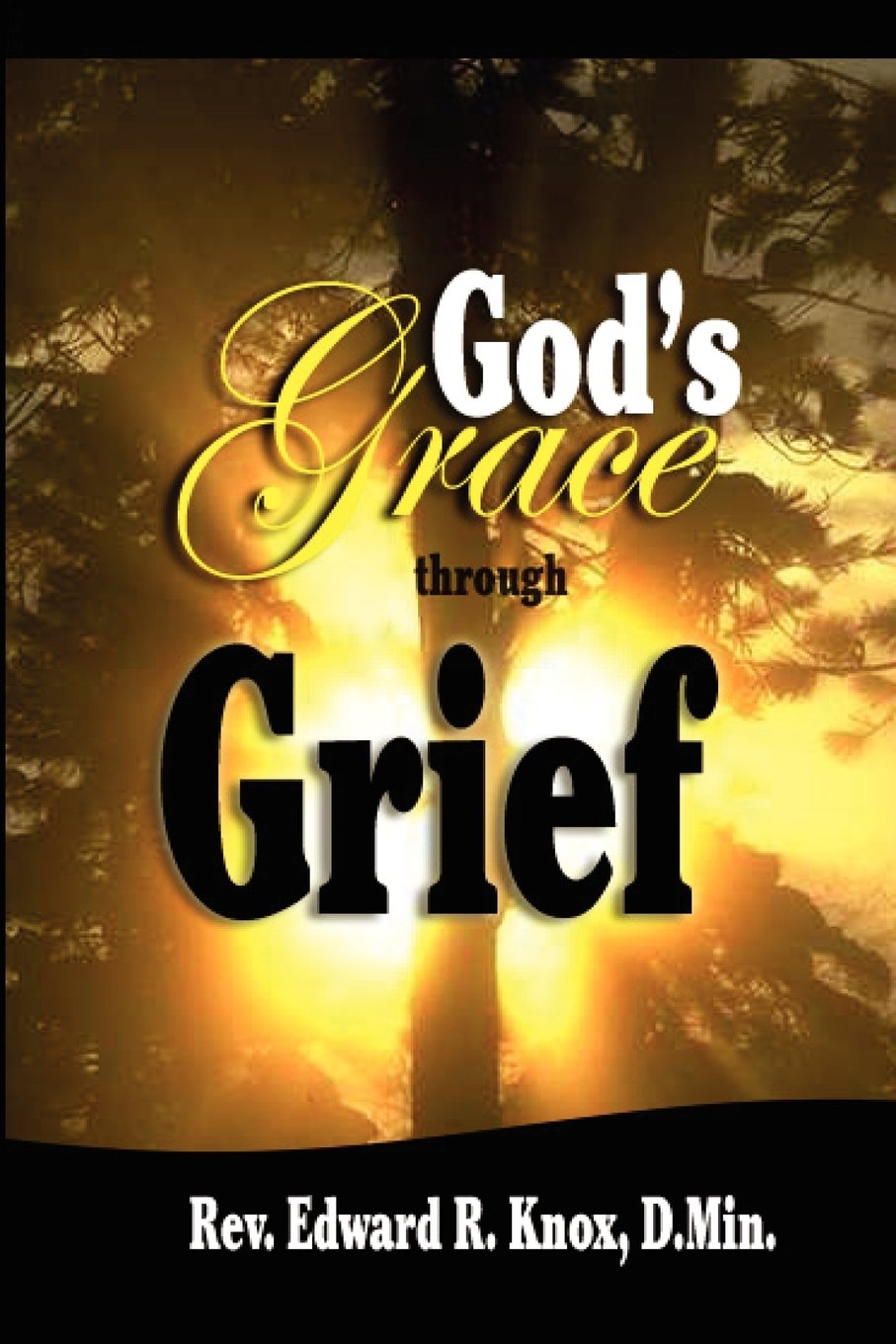 God's Grace through Grief,Used