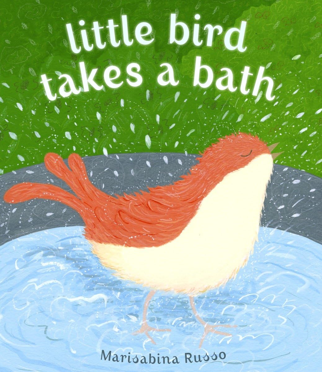 Little Bird Takes a Bath,Used