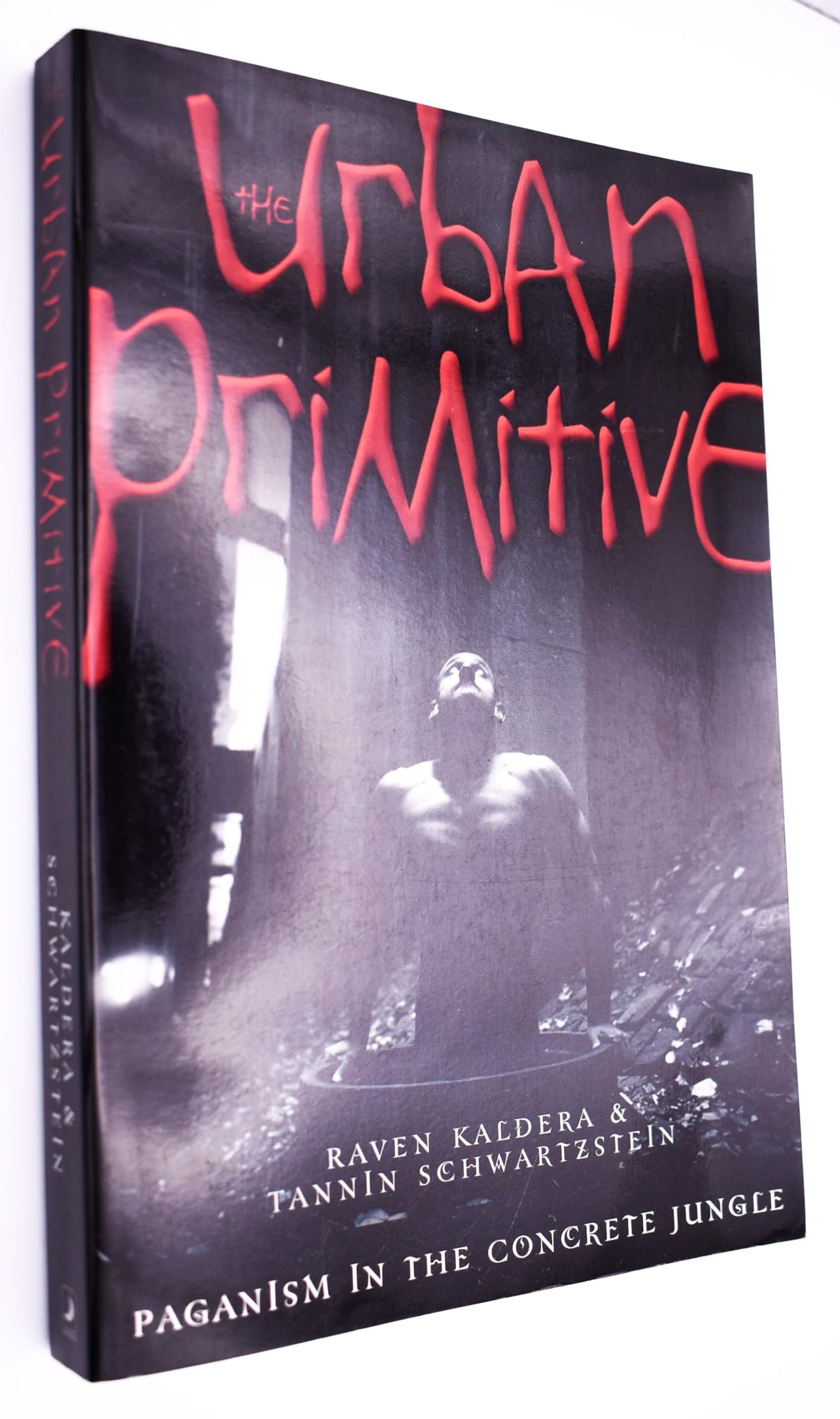 The Urban Primitive: Paganism in the Concrete Jungle,Used
