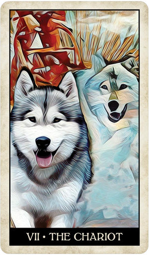 Wise Dog Tarot,New