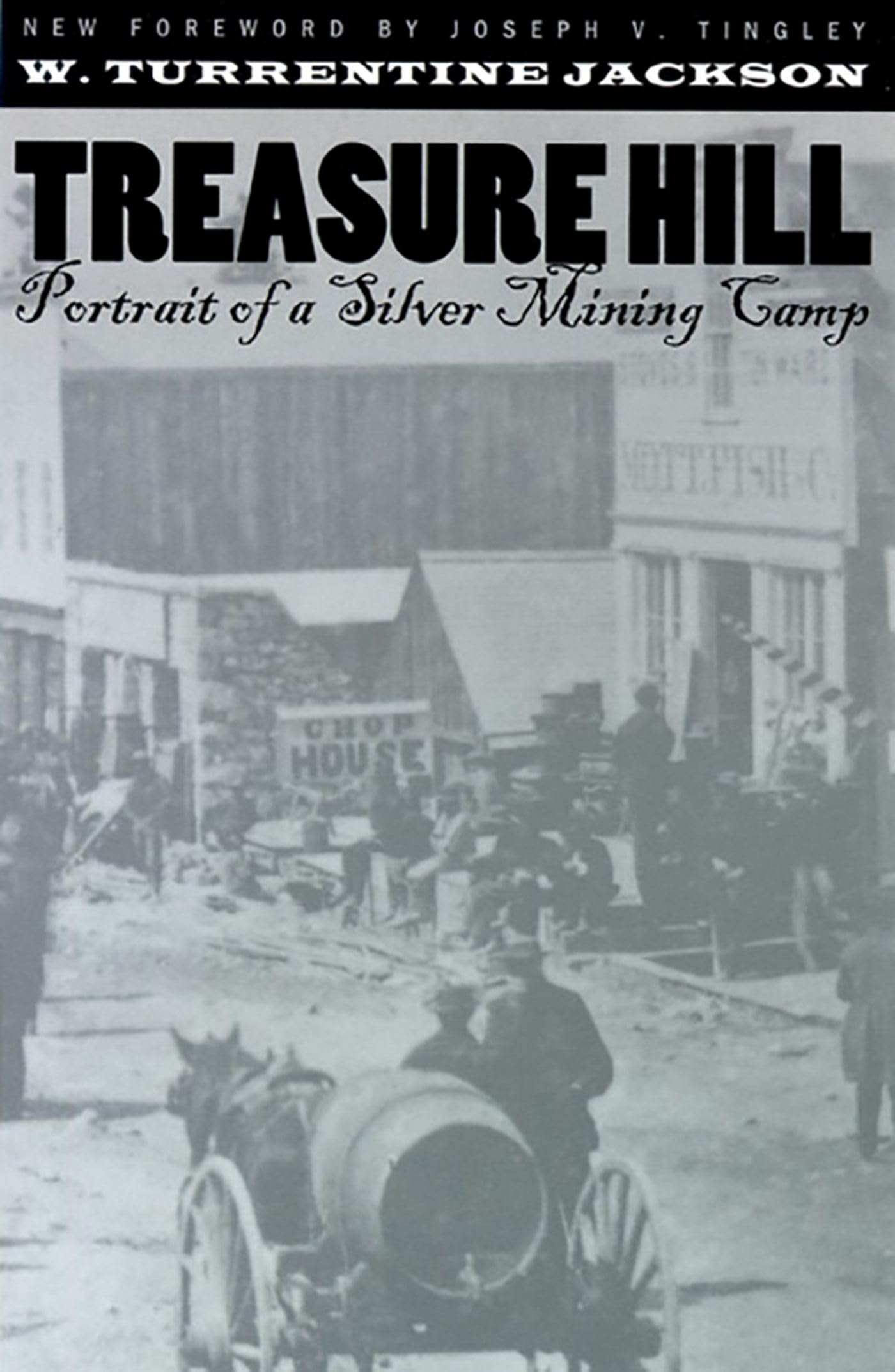 Treasure Hill: Portrait Of A Silver Mining Camp,Used