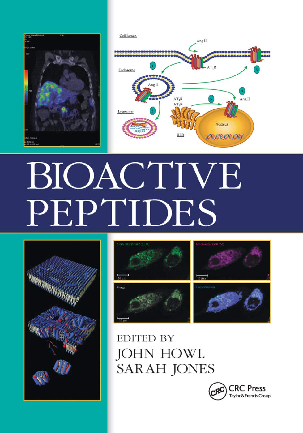 Bioactive Peptides,Used