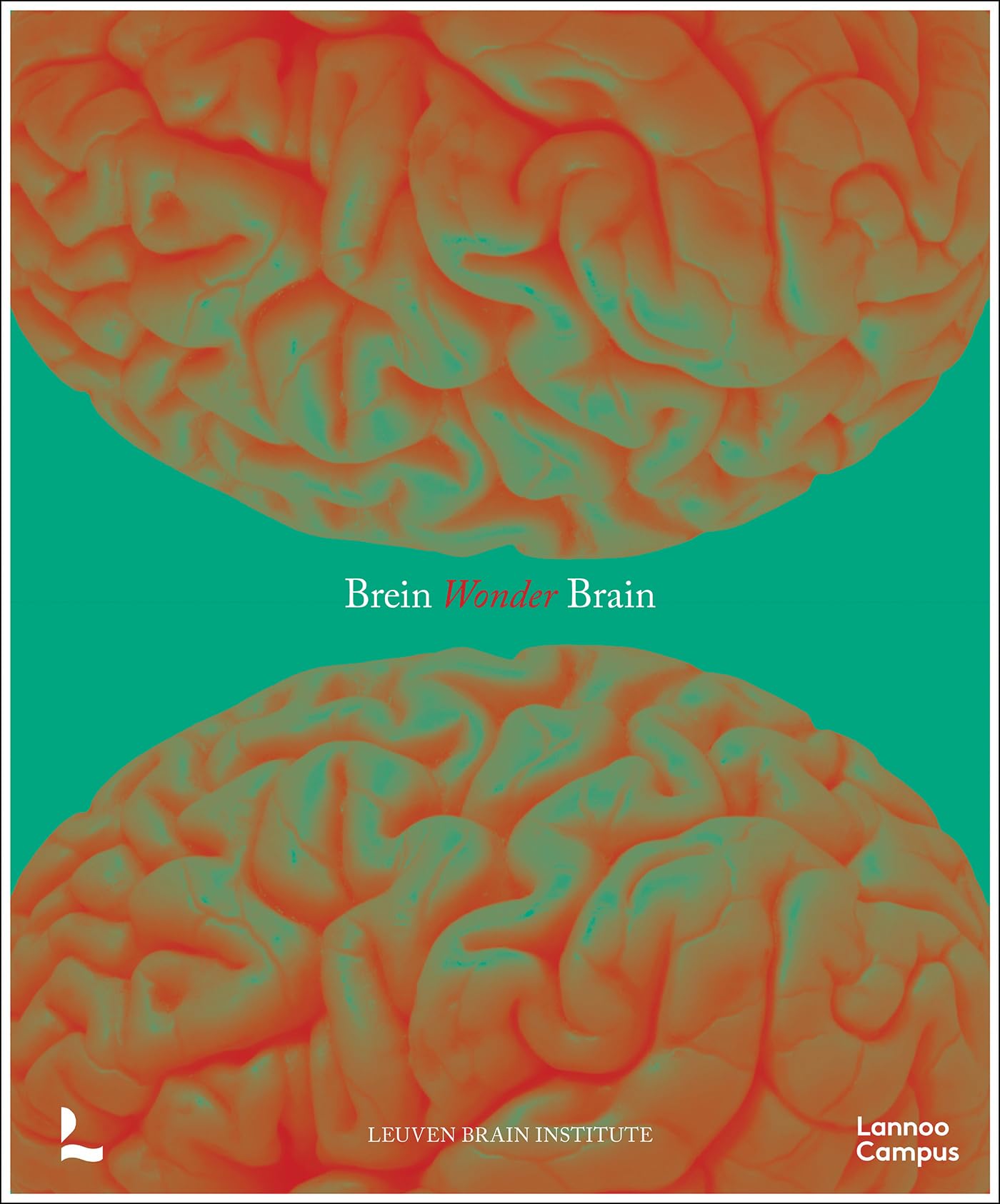 Wonder Brain
