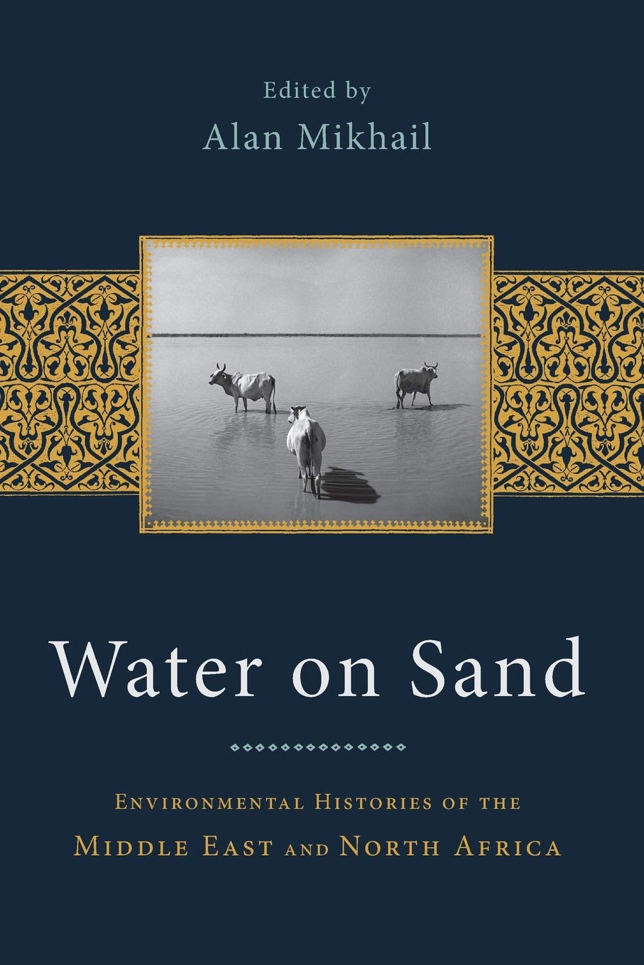 Water on Sand: Environmental Histories of the Middle East and North Africa,Used