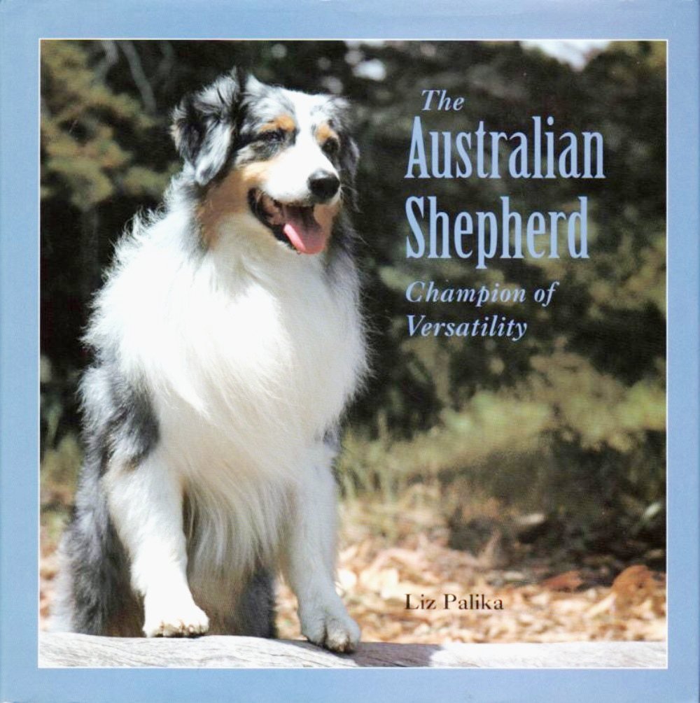 The Australian Shepherd: Champion Of Versatility