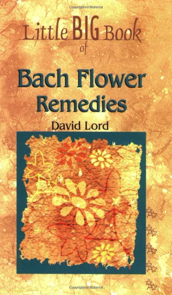 Little Big Book of Bach Flower Remedies (Little Big Book of . . . Series),Used