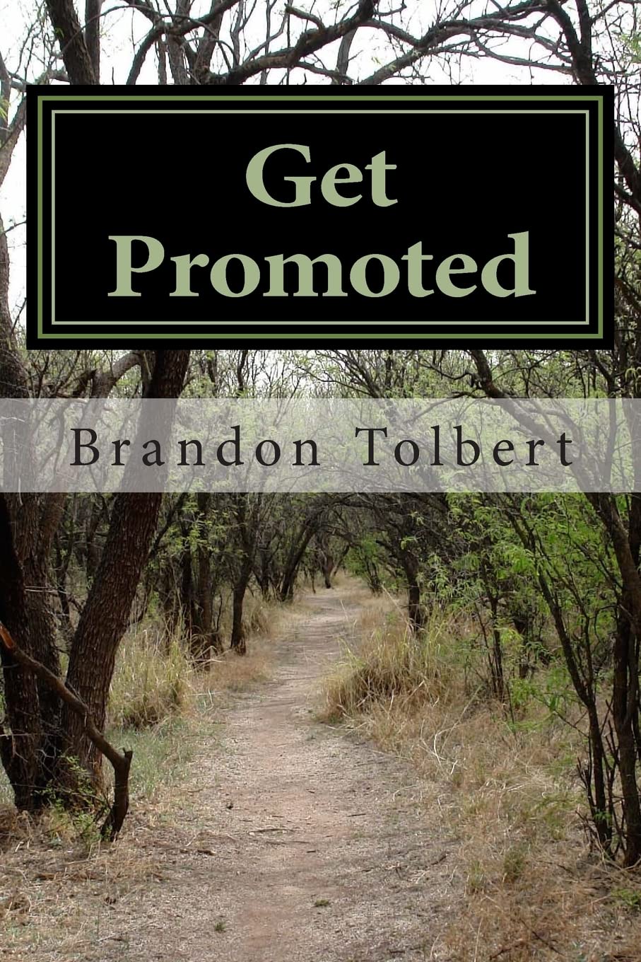 Get Promoted,Used