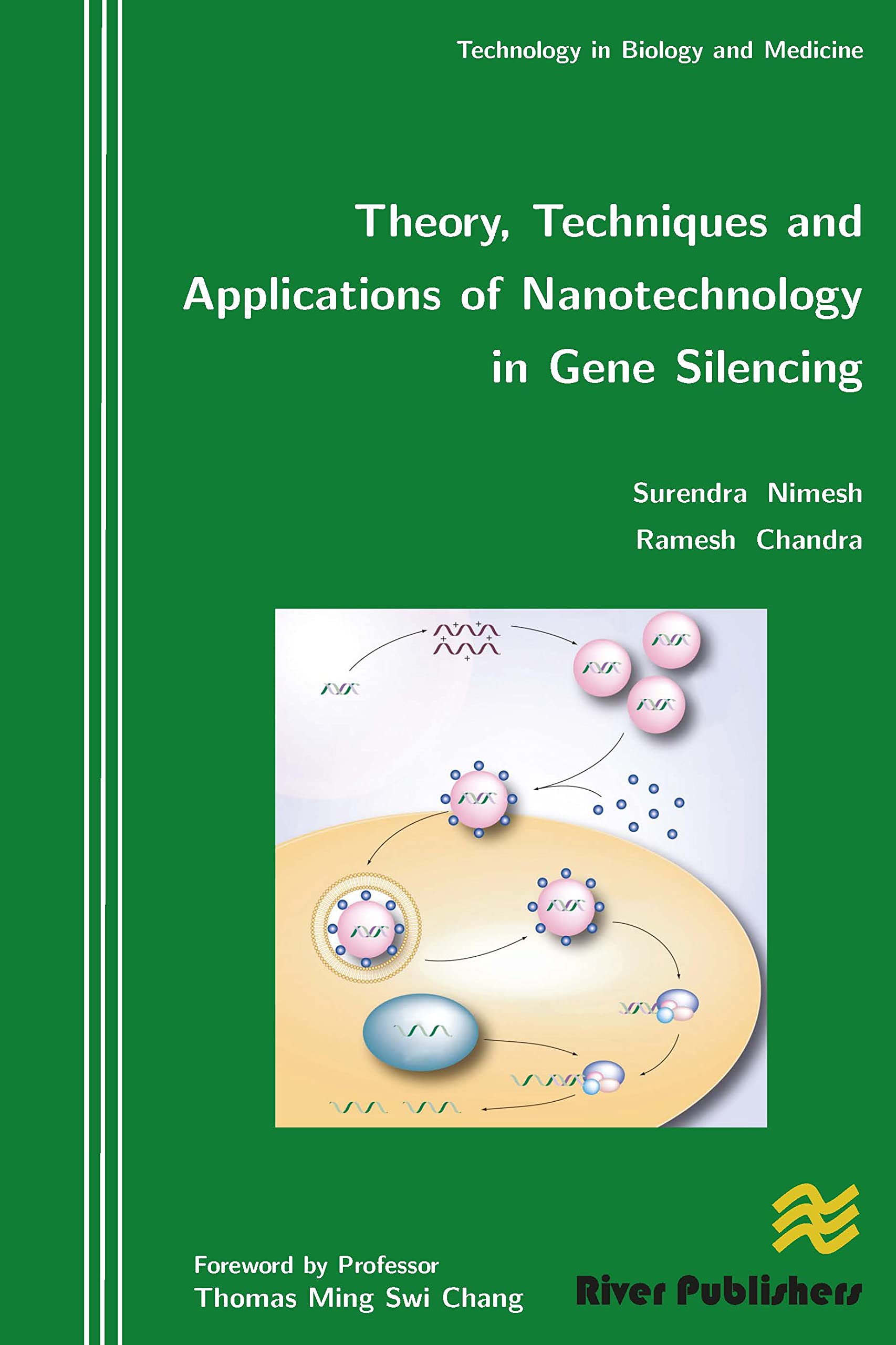 Theory, Techniques and Applications of Nanotechnology in Gene Silencing (River Publishers Series in Research and Business Chroni,Used