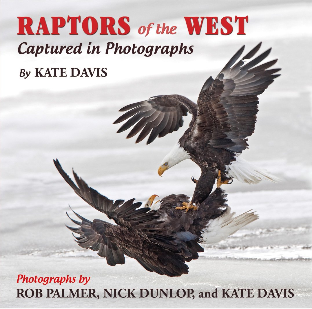 Raptors of the West: Captured in Photographs,Used