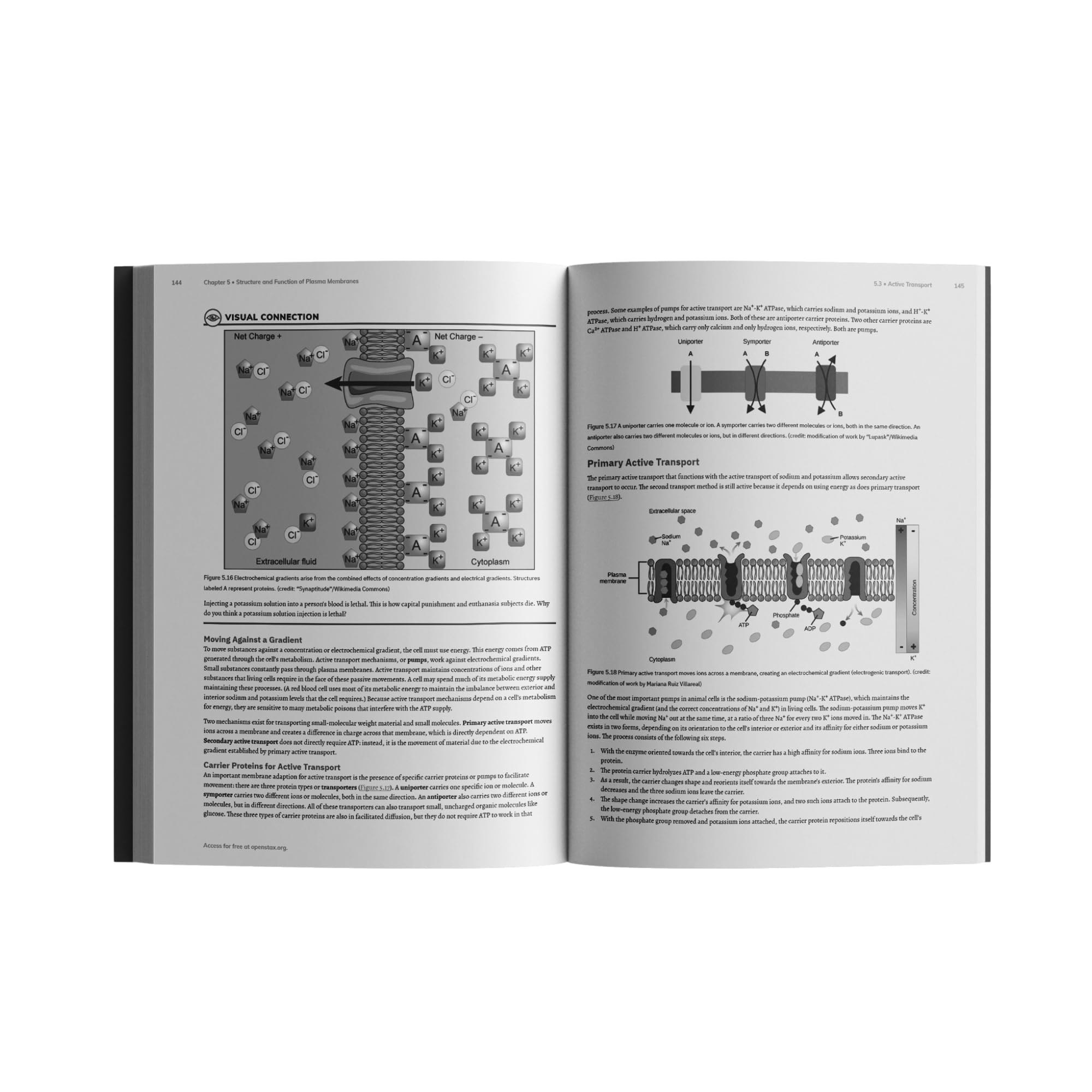 Biology 2e: Official OpenStax [paperback, B&W],Used