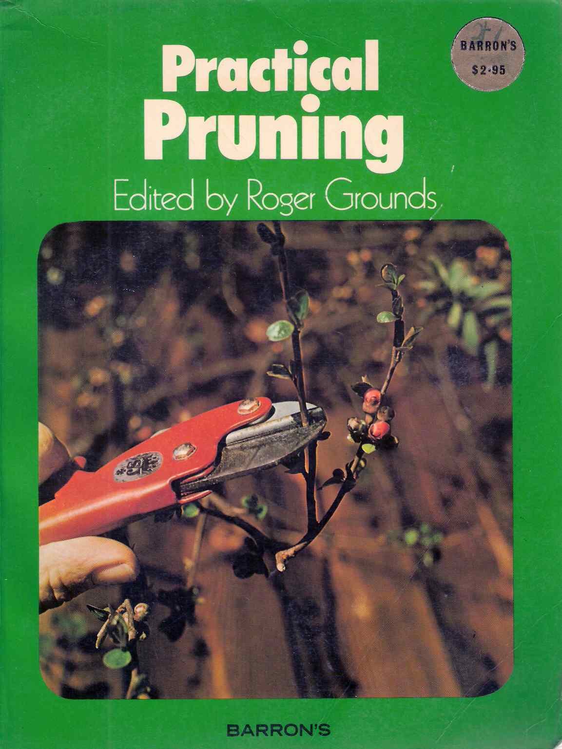 Practical Pruning,Used