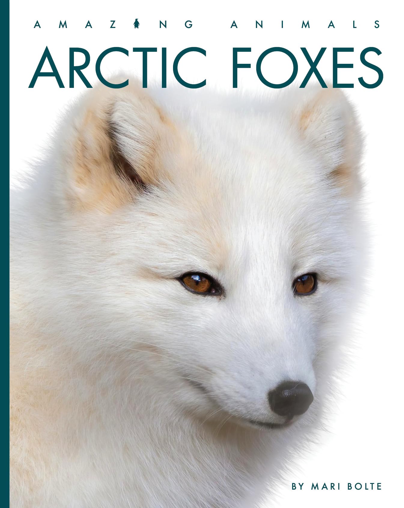 ARCTIC FOXES