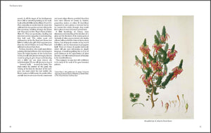 Art of Botanical Illustration,Used