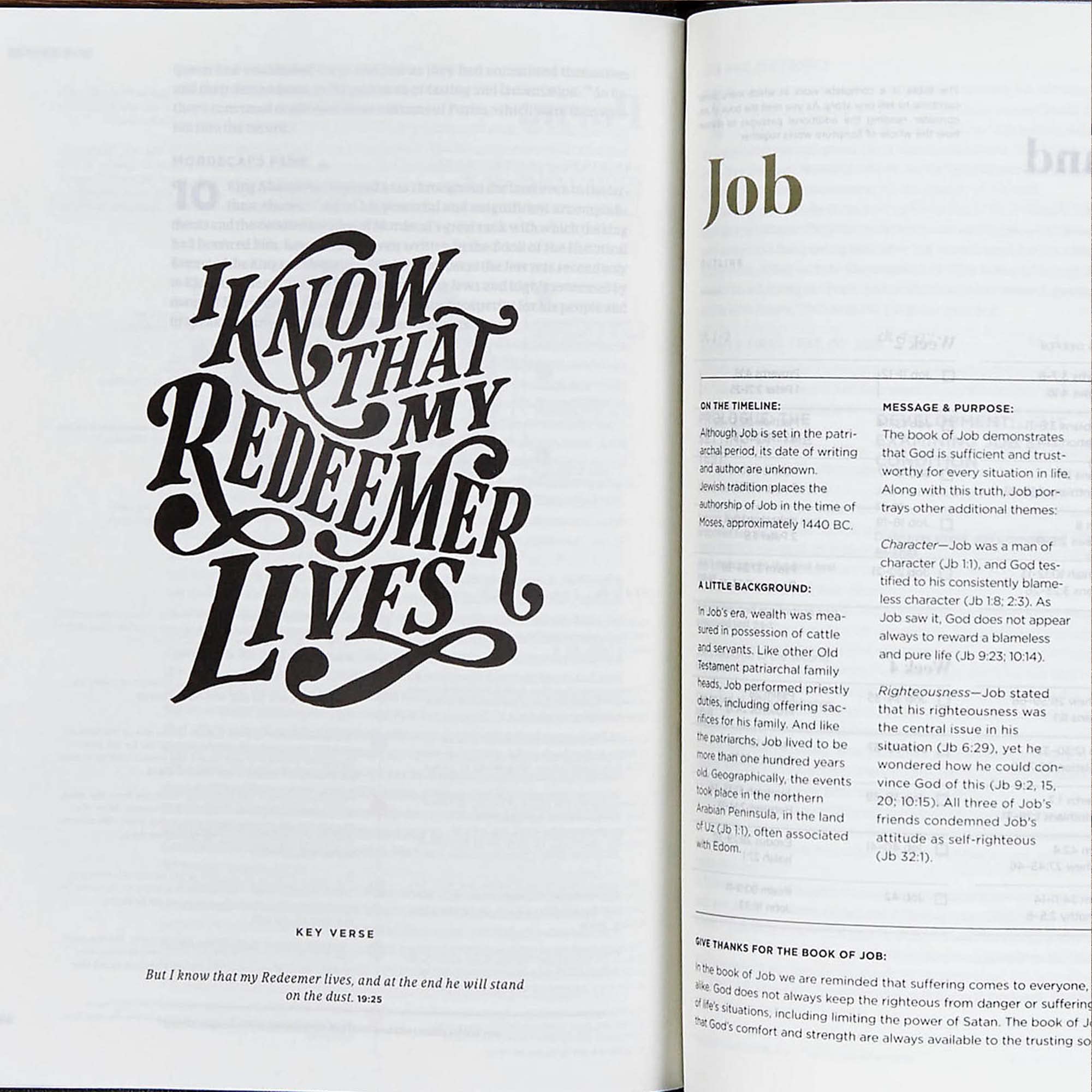 CSB He Reads Truth Bible, Charcoal Cloth Over Board, Black Letter, Wide Margins, Journaling Space, Illustrations, Reading Plans,,Used