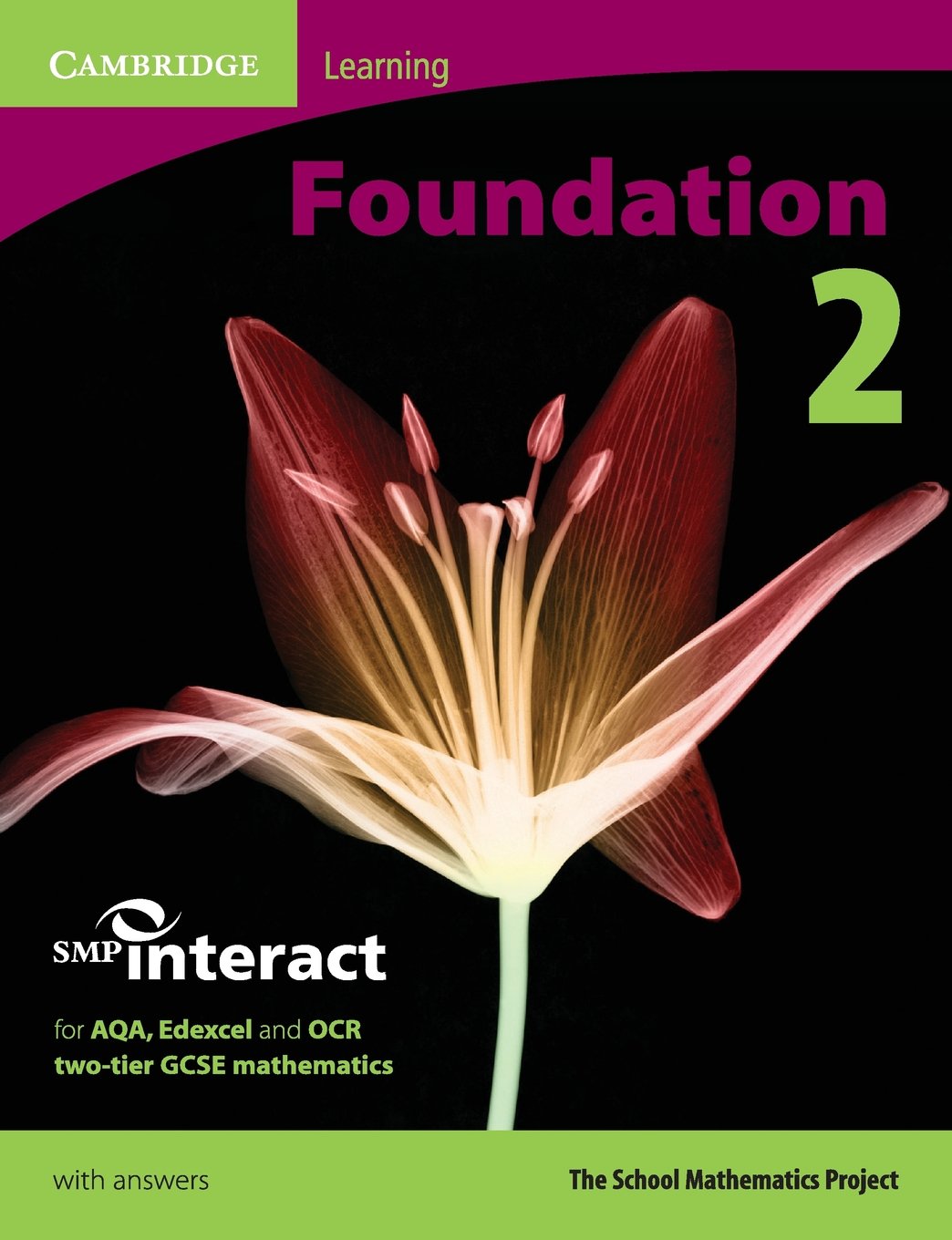 SMP GCSE Interact 2tier Foundation 2 Pupil's Book (SMP Interact 2tier GCSE),Used