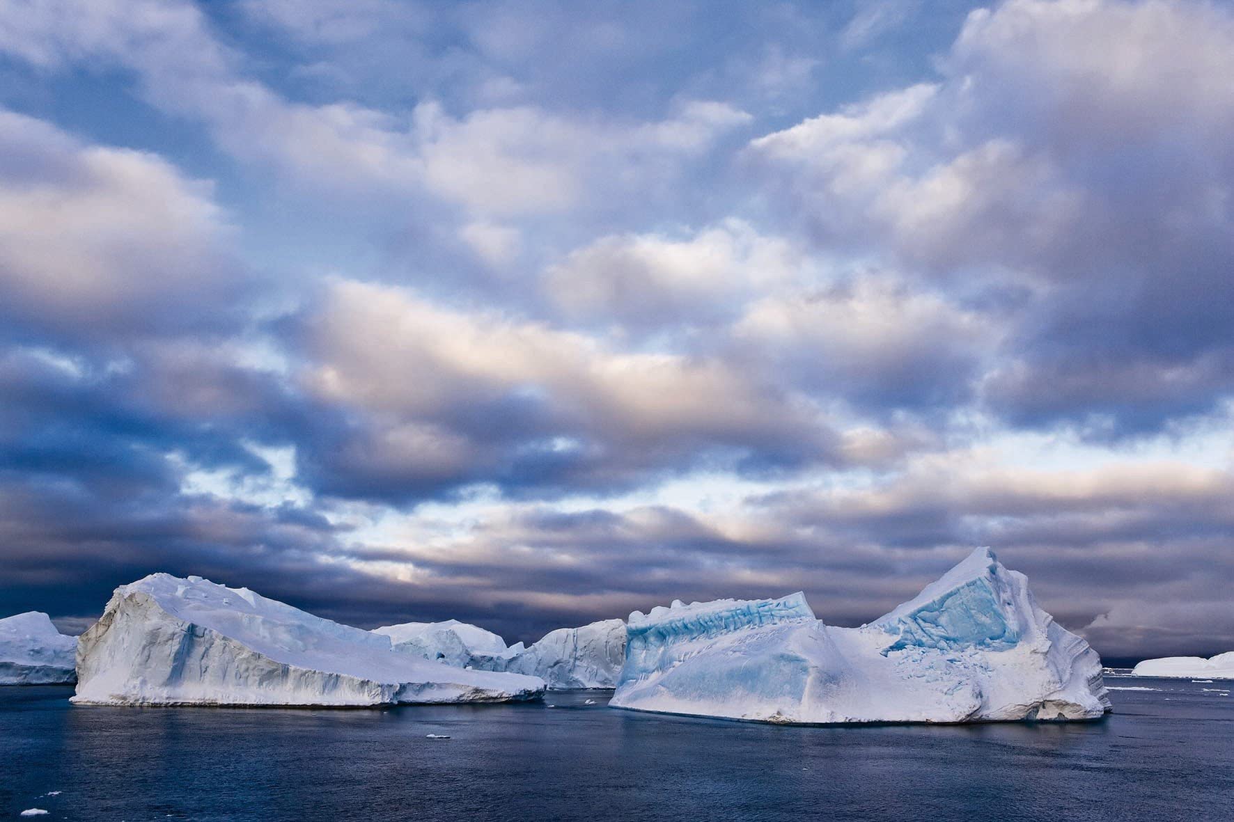 Antarctic (English And Spanish Edition),Used